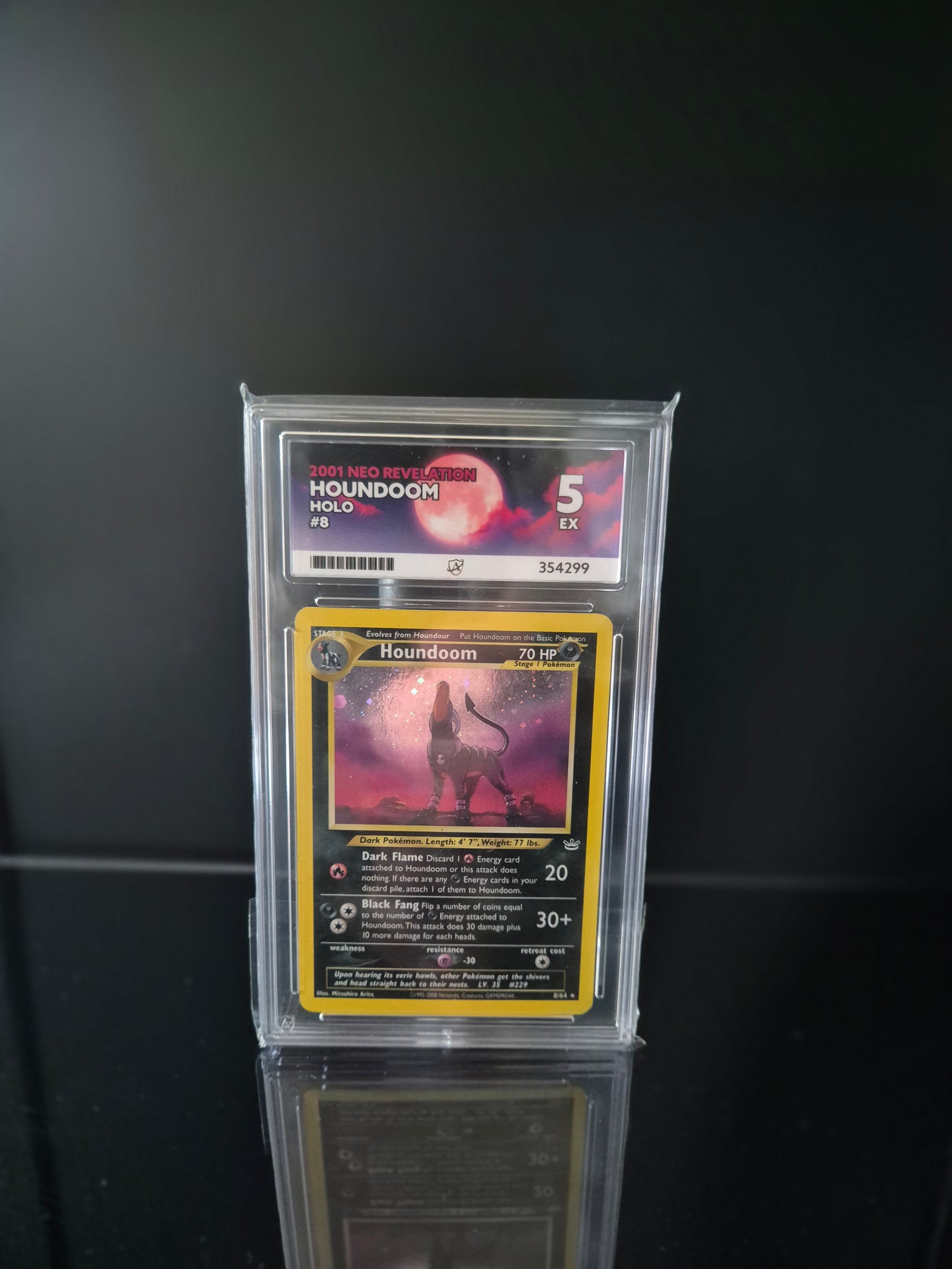 Hundemon #8 ACE 5 Pokemon Neo Revelation