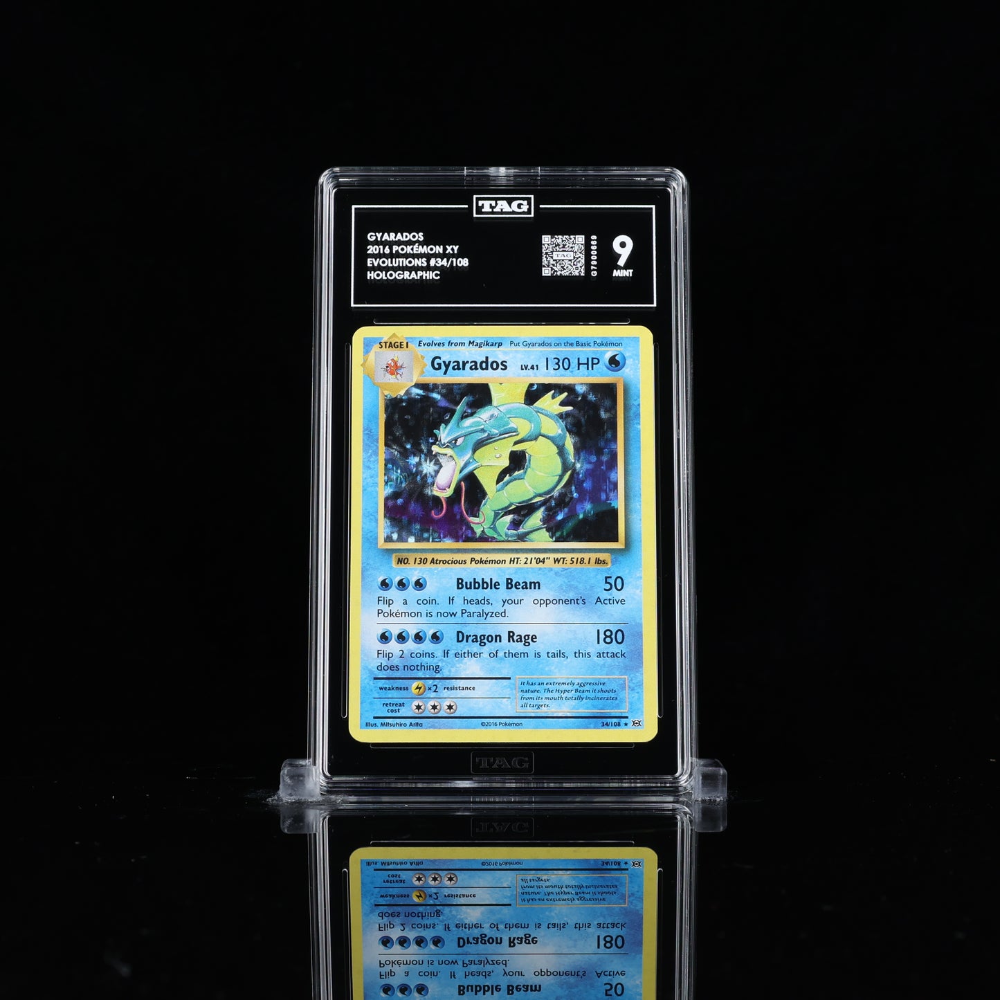 Garados #34 TAG Mint 9 Pokemon Entwicklungen