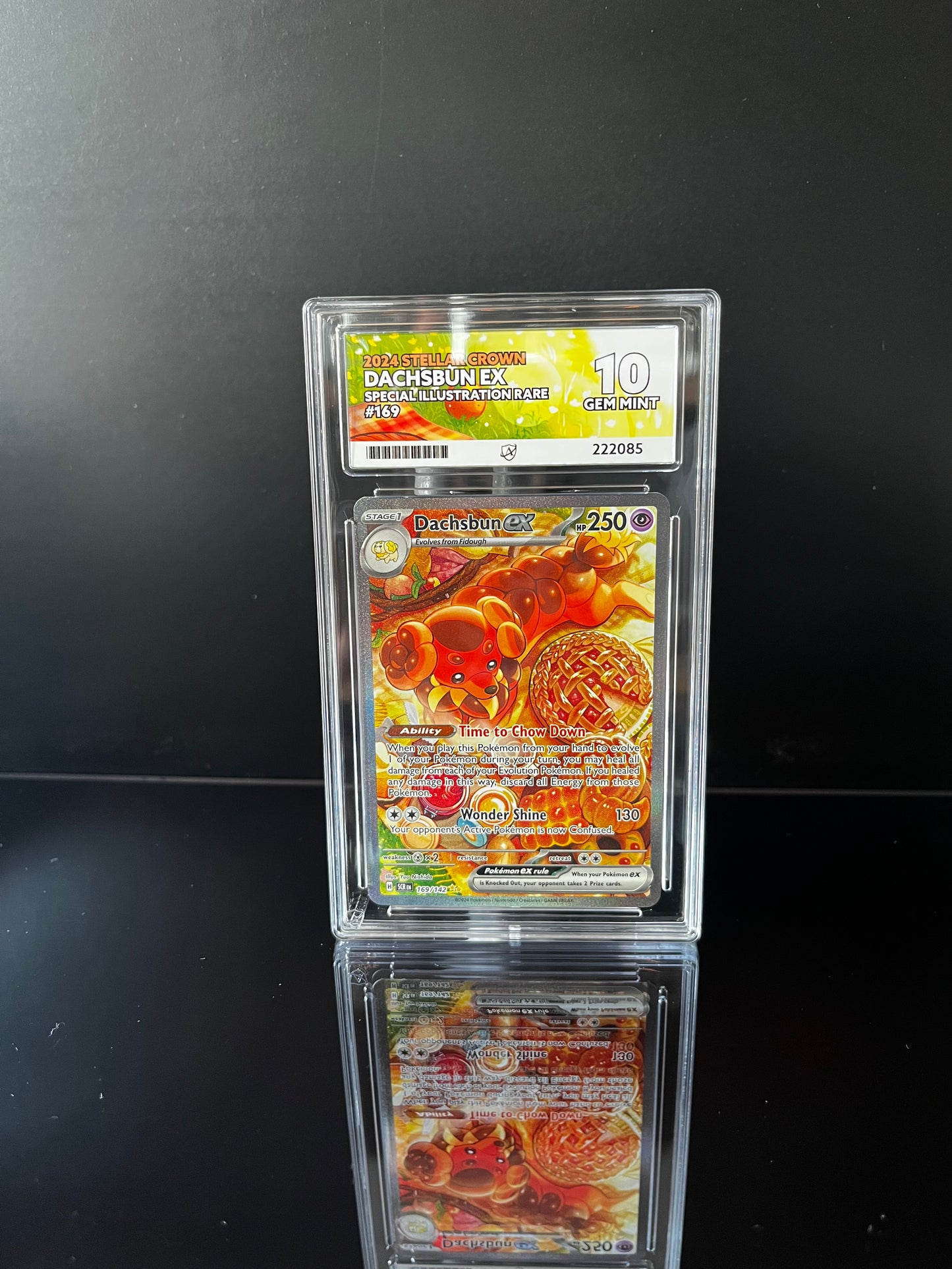 Dachsbun ex #169 Pokemon Stellar Crown ACE GEM MINT 10