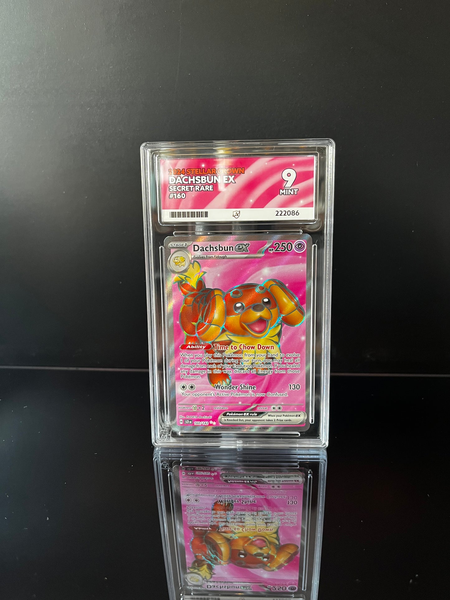 Dachsbun ex #160 Pokemon Stellar Crown ACE MINT 9