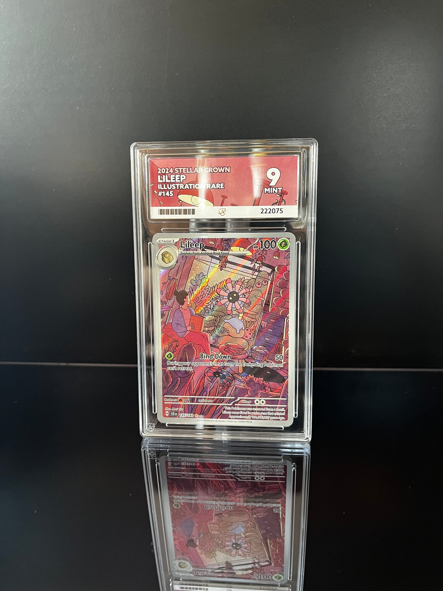 Lileep #145 Pokemon Stellar Crown ACE MINT 9