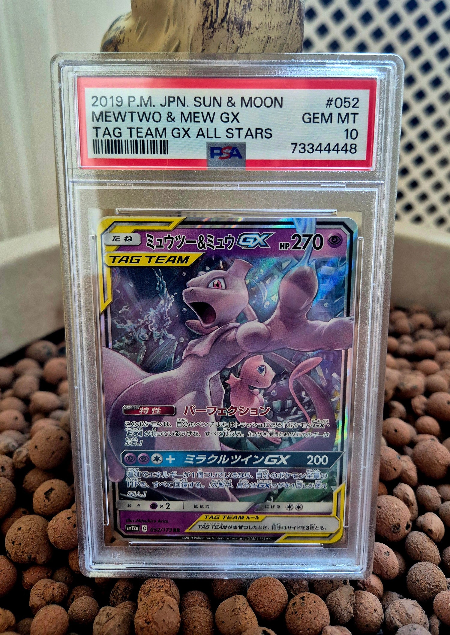 PSA Graded Slabs