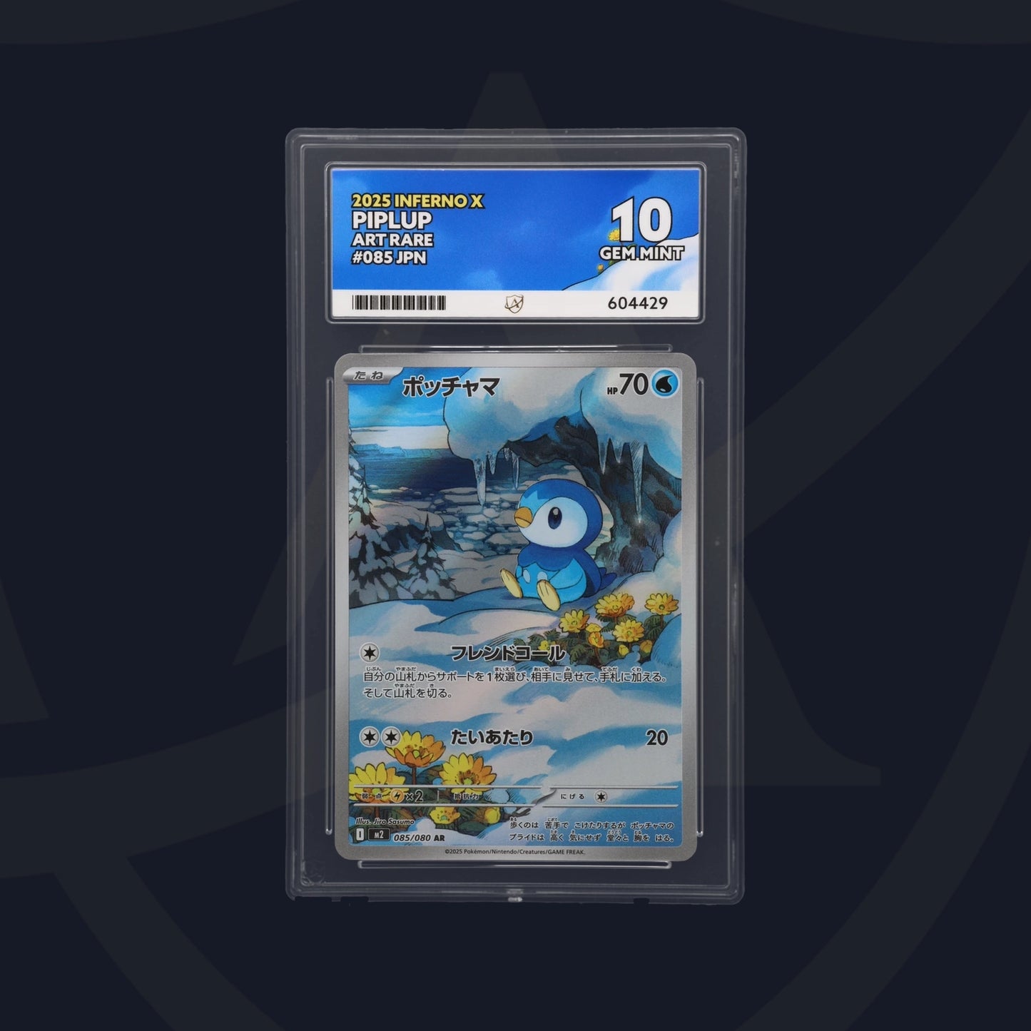 Piplup - ACE 10   (Front)