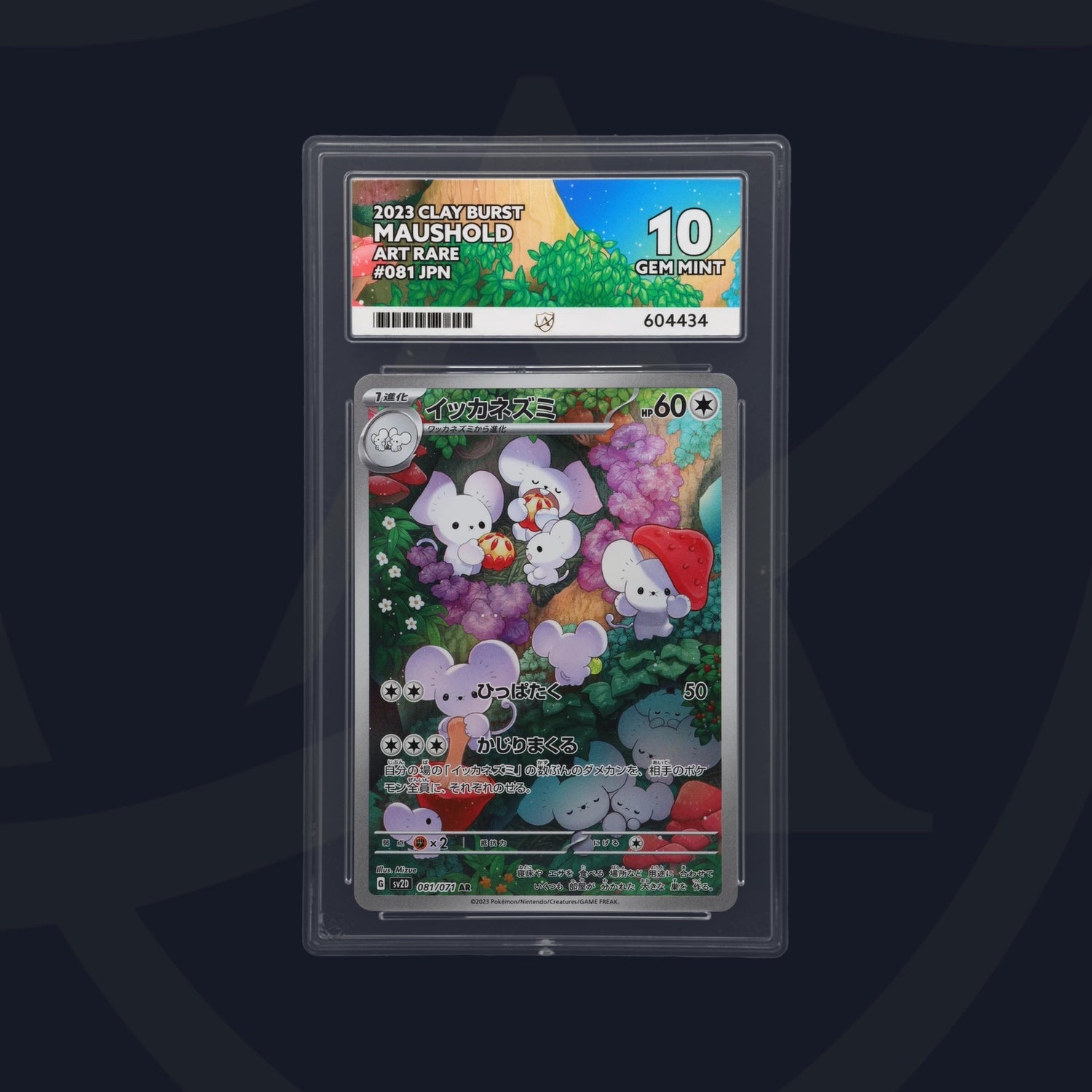 Maushold - ACE 10   (Front)