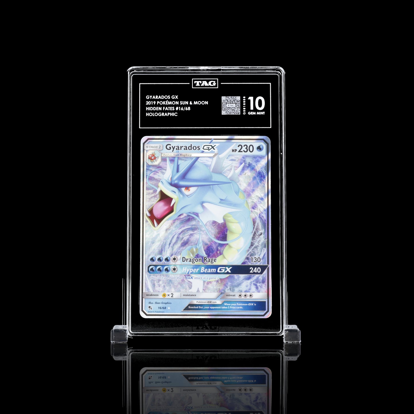 Gyarados GX #16 TAG 10 Pokemon Versteckte Schicksale