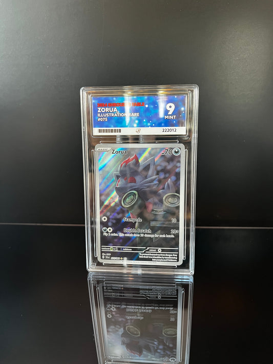 Zorua #75 Pokemon Shrouded Fable ACE MINT 9